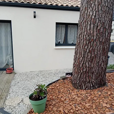 Hébergement de vacances Maison Saint-brevin-les-pins, 4 Pieces, 5 Personnes - Fr-1-364-164